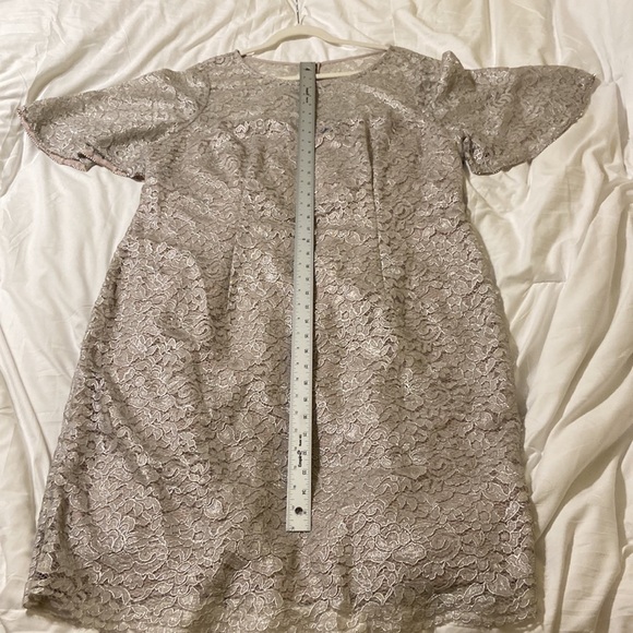 Adrienna Pappell Lace Dress Sz 18W NWT Color Icy Lilac gray very pretty holiday - Picture 14 of 17